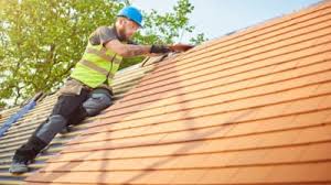 Best Roof Moss and Algae Removal  in Savannah, TX