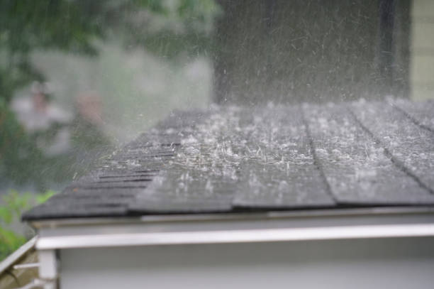 Best Roof Maintenance and Cleaning  in Savannah, TX