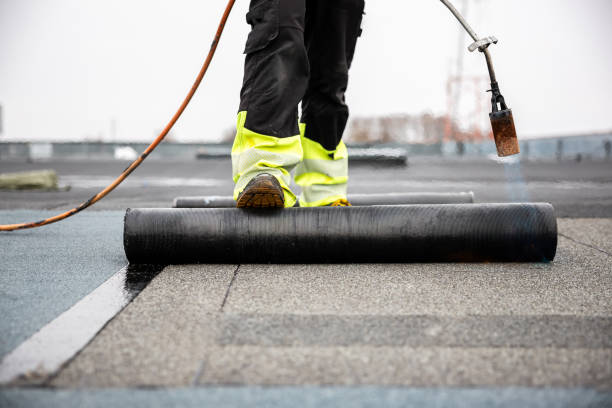 Best Asphalt Shingle Roofing  in Savannah, TX
